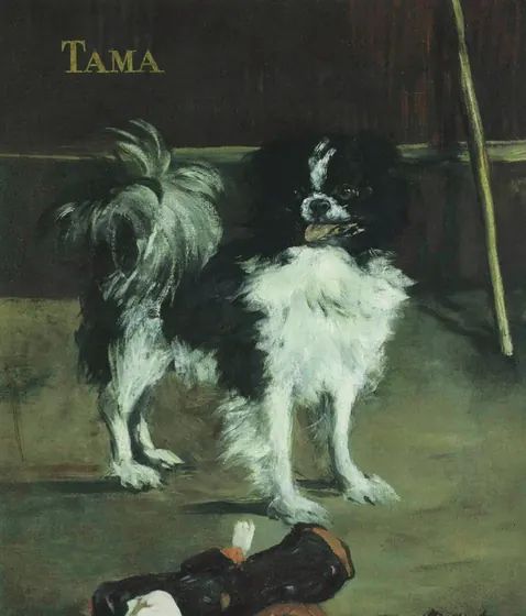 Тама, японская собака (Эдуард Мане)